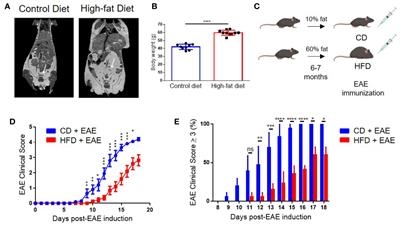 PD-1 Blockade Reverses Obesity-Mediated T Cell Priming Impairment